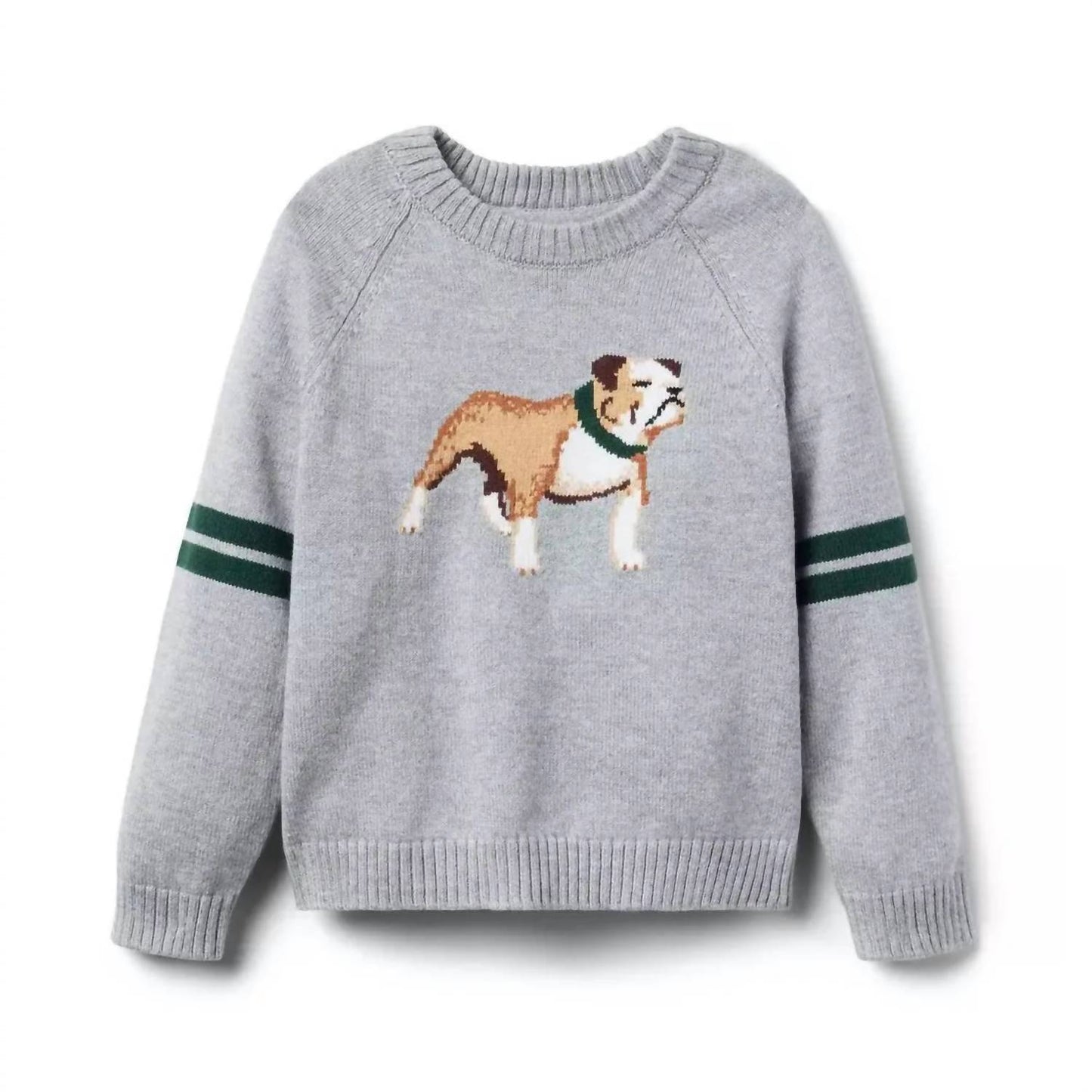 Boy's Dog Intarsia Sweater