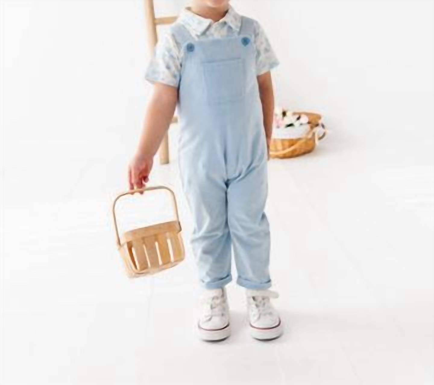 Boys' Bunny Toile Distressed Overall Set