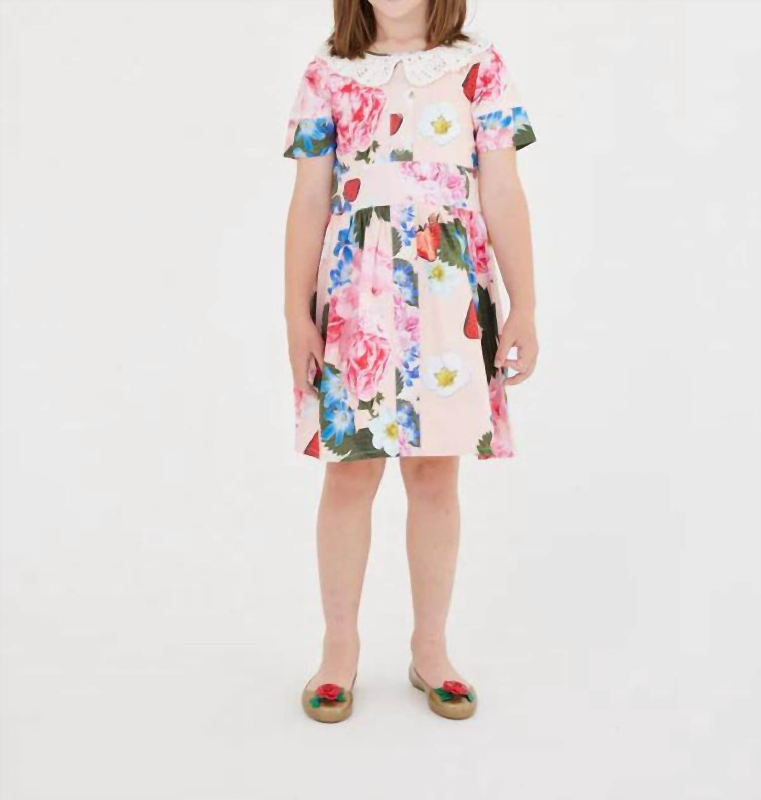Sasha+Z - Strawberry & Peonies Printed Dress - Rack Hunt -