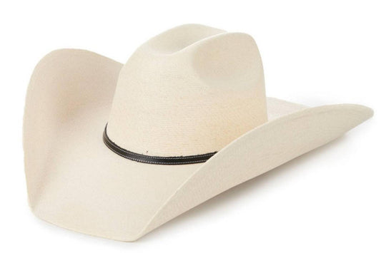 Men's Aspermont 5" Big Brim Palm Leaf Cowboy Hat