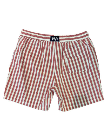Men's Bengal Stripe Swim Shorts