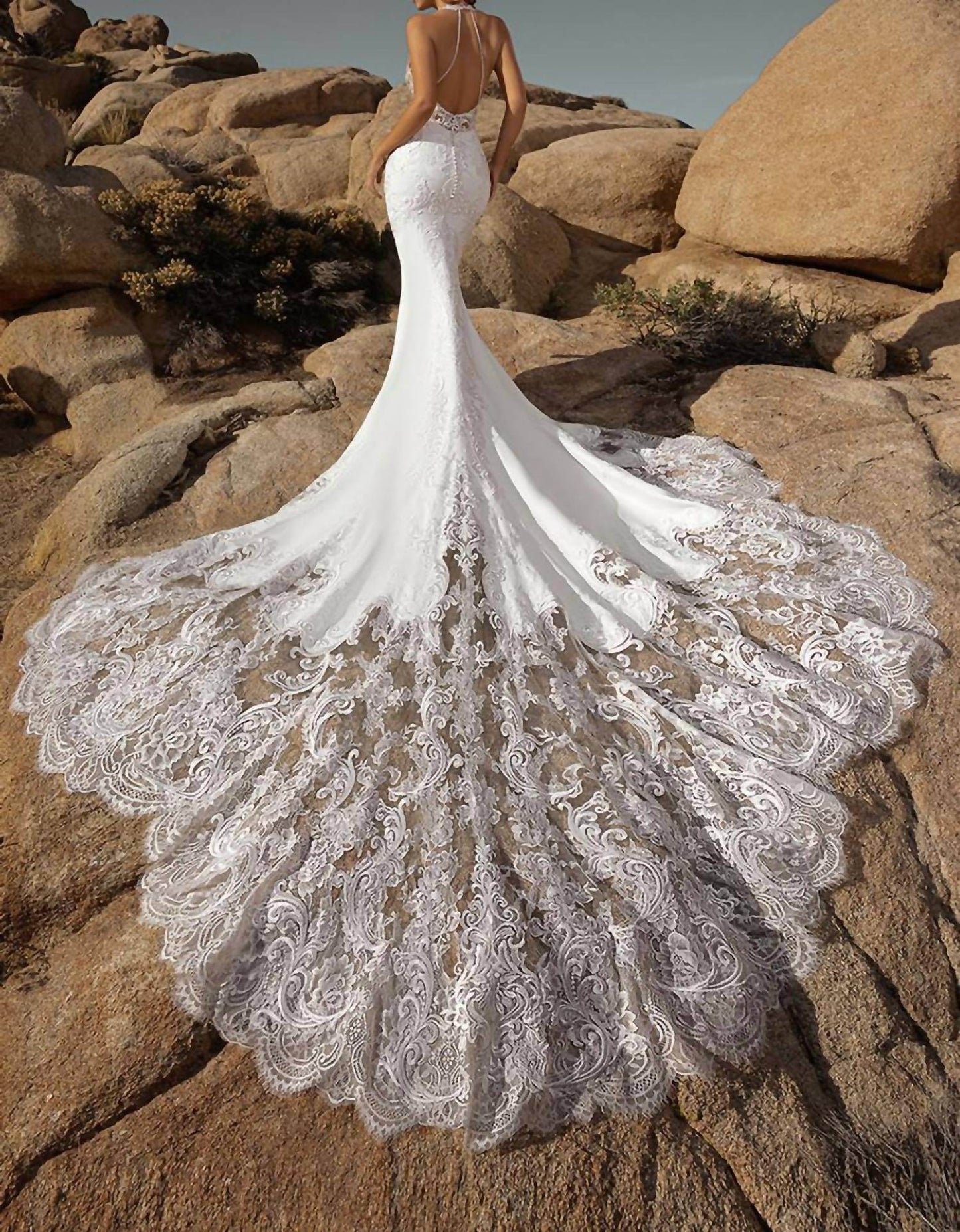 Ivoire by Kitty Chen - Azaria Lined Sheer Dress - Rack Hunt -