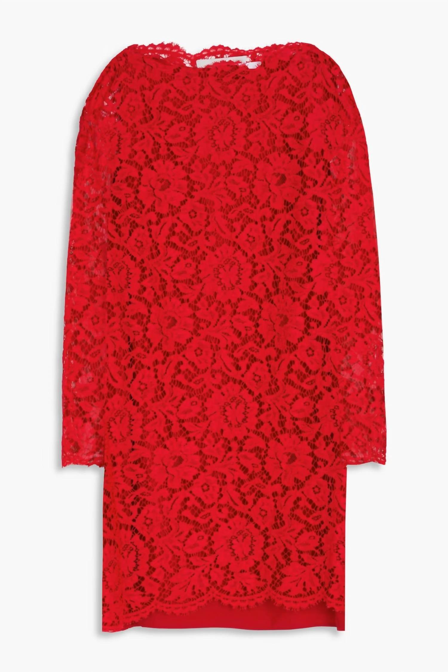 Valentino - Corded Lace Mini Dress - Rack Hunt