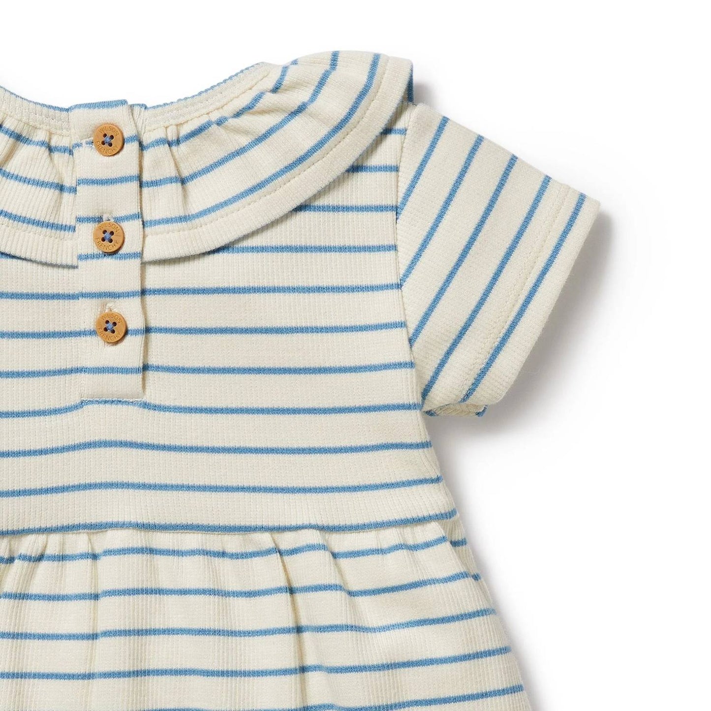 Petite Ruffle Dress