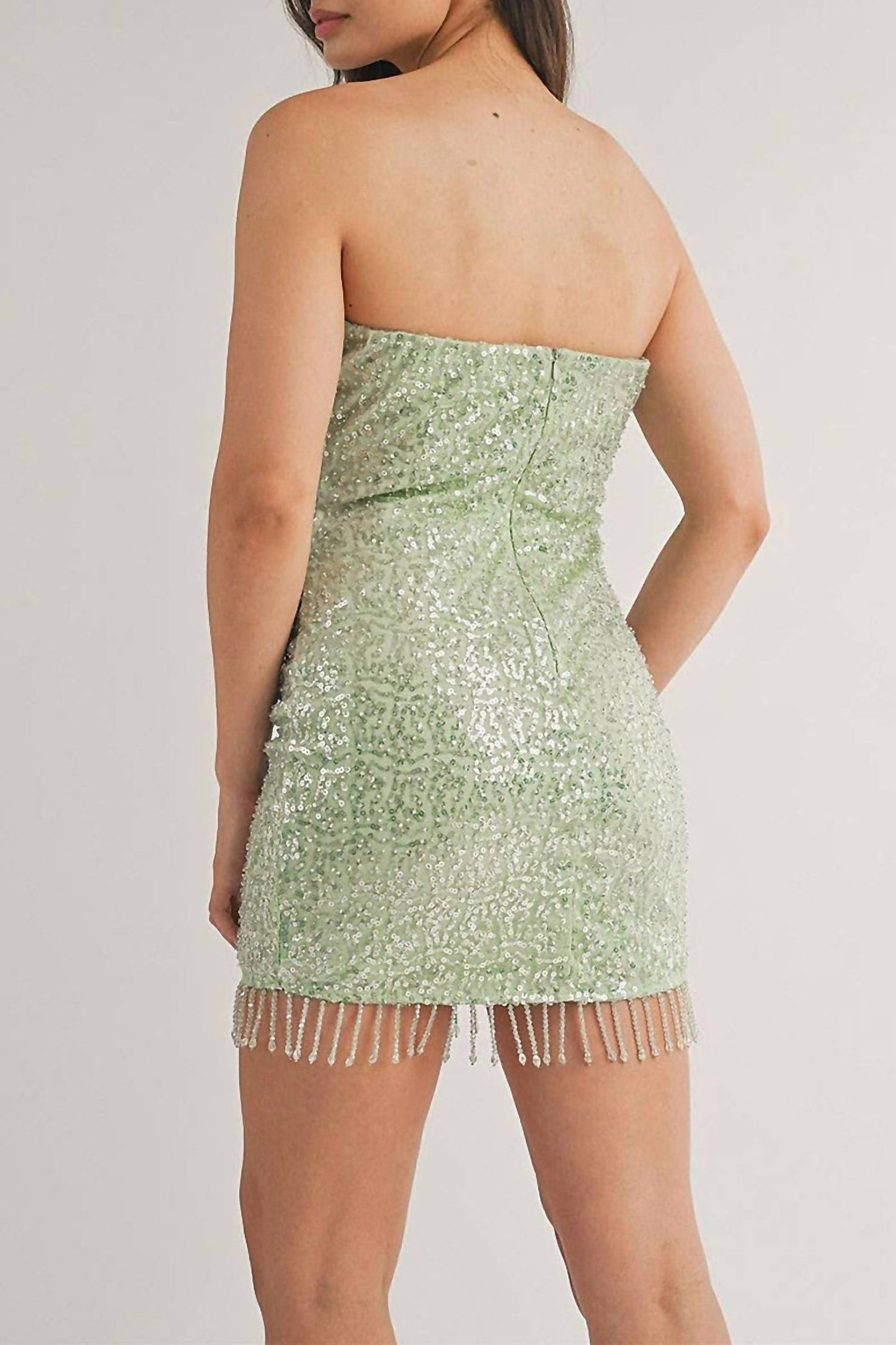 Sleeveless Fringe Sequins Tube Bodycon Mini Dress