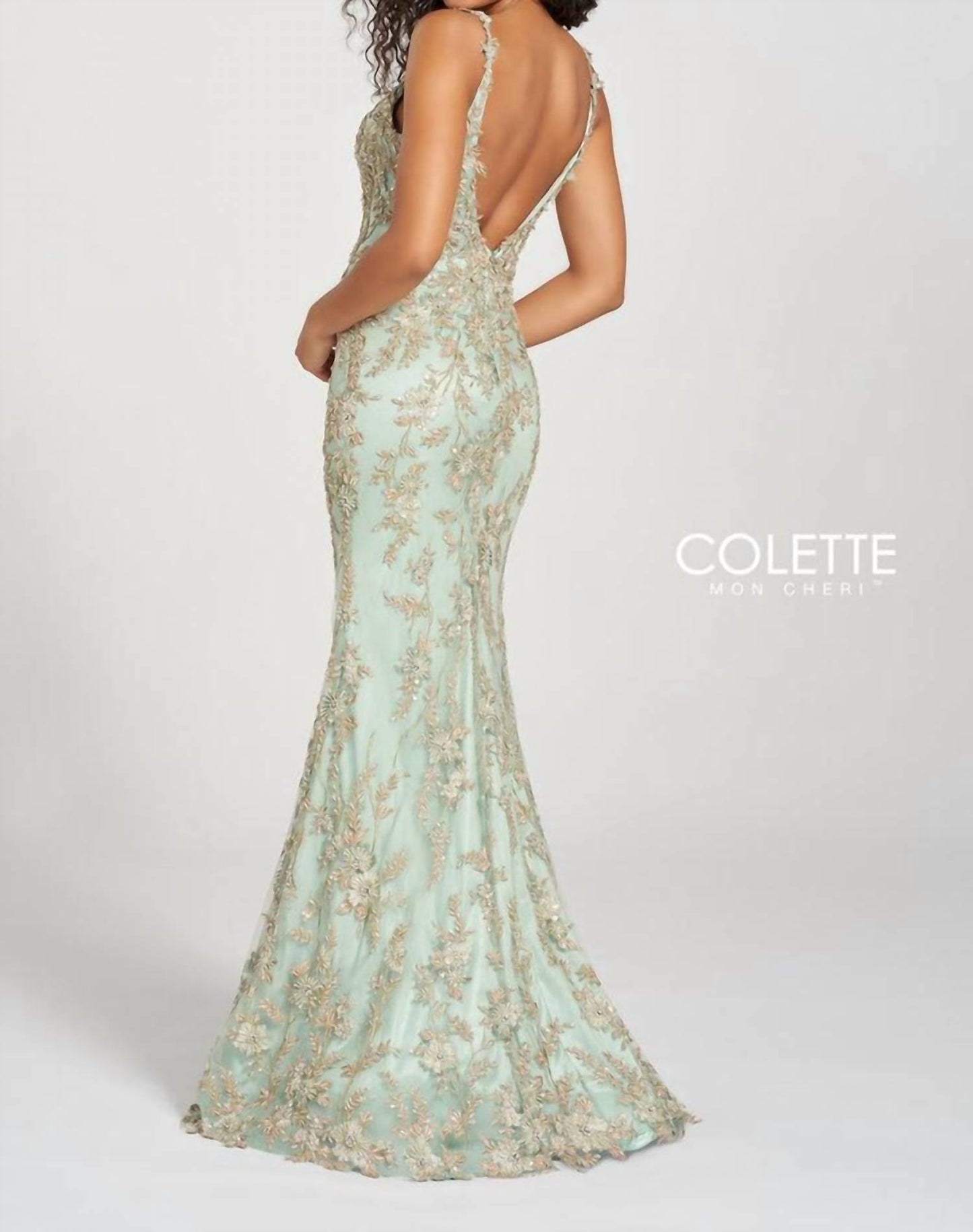 Tulle Lace Gown
