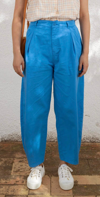 Pleated Trousers