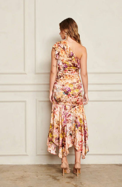 Hudson Bohemian Dress