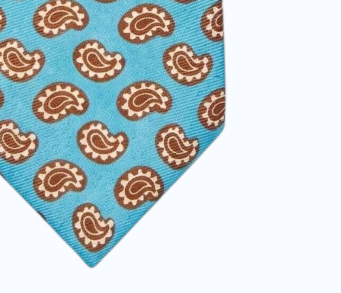 Men's Paisley Print Tie