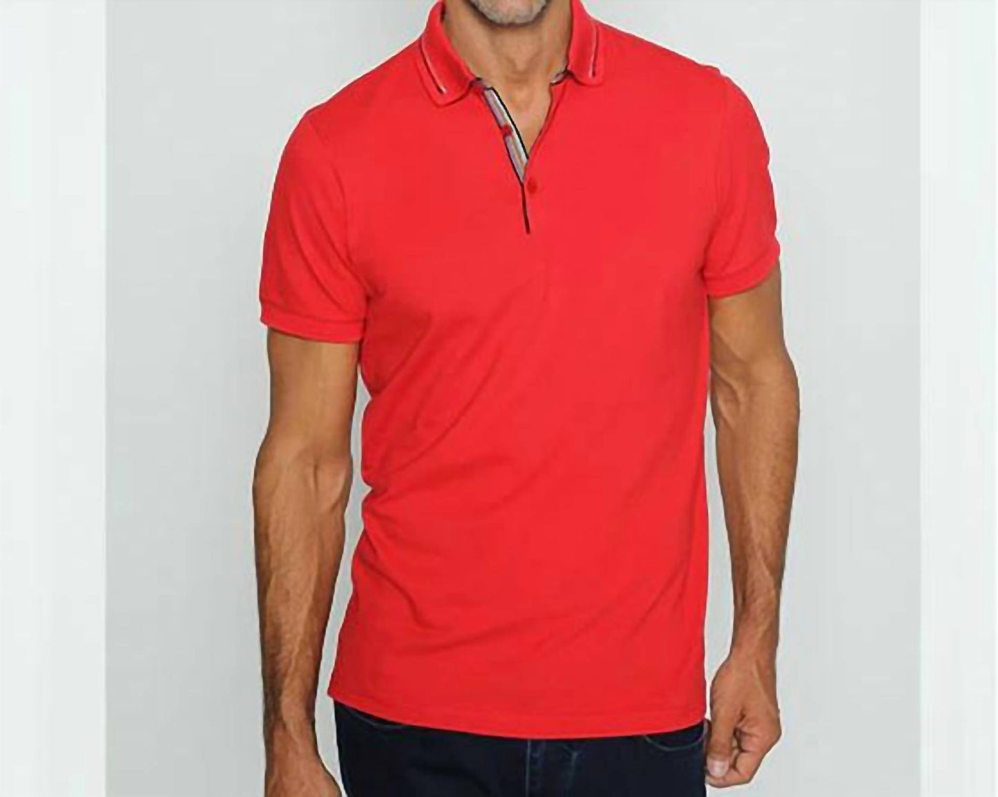 Colorful Trim Polo