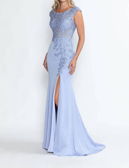 Boat Neck Cap Sleeve Sheath Gown
