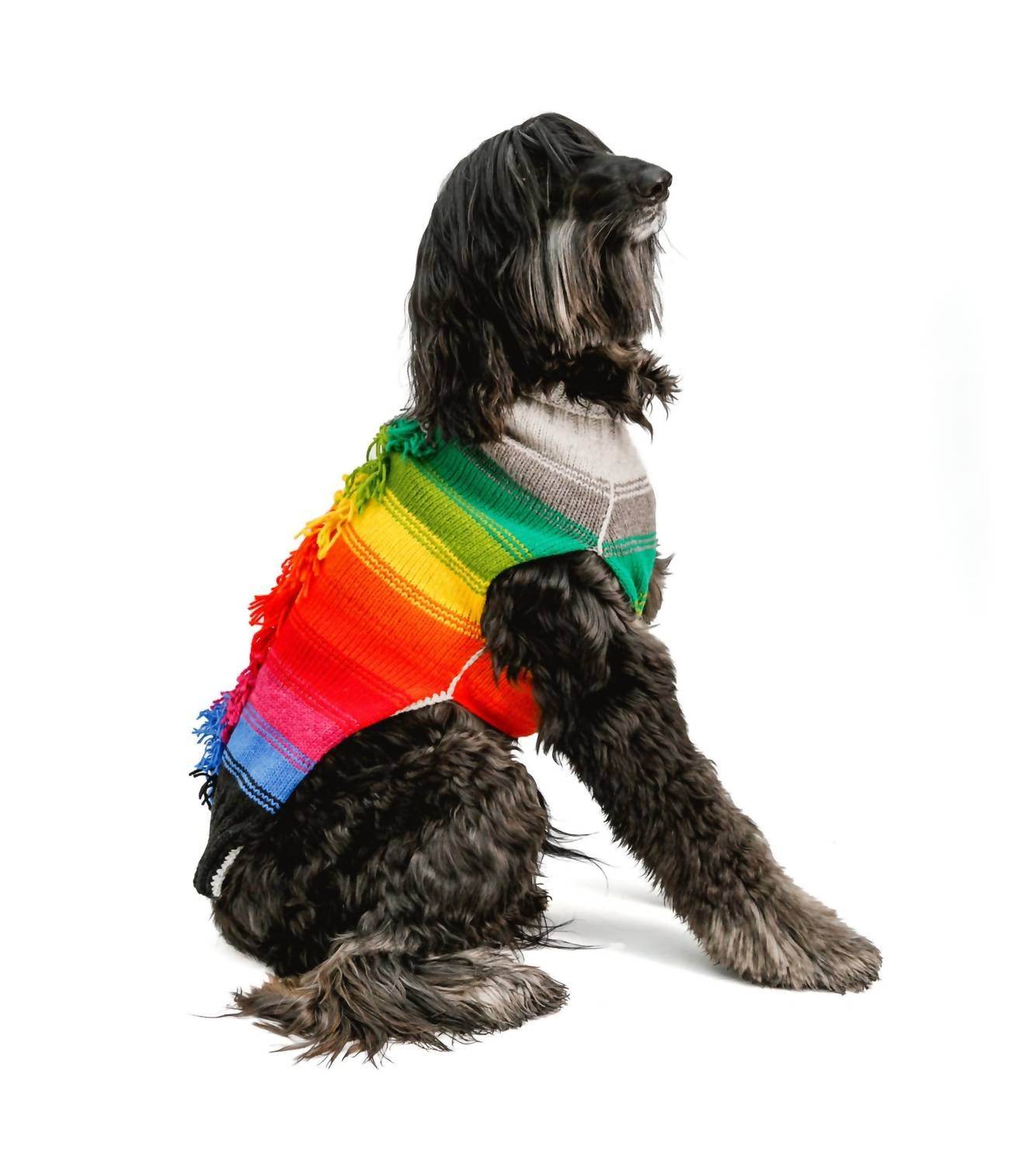 Chilly Dogs - Rainbow Mohawk Dog Sweater - Rack Hunt