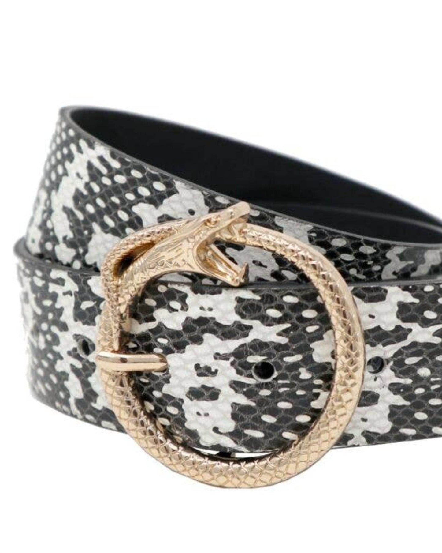 British Belt Co. - Women's Sammy Snake Mono Leather Belt - Rack Hunt -