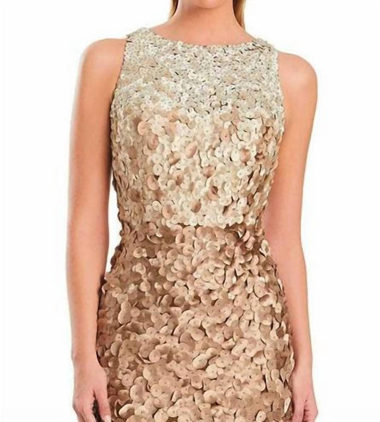 Ombre Applique Jewel Neck Gown