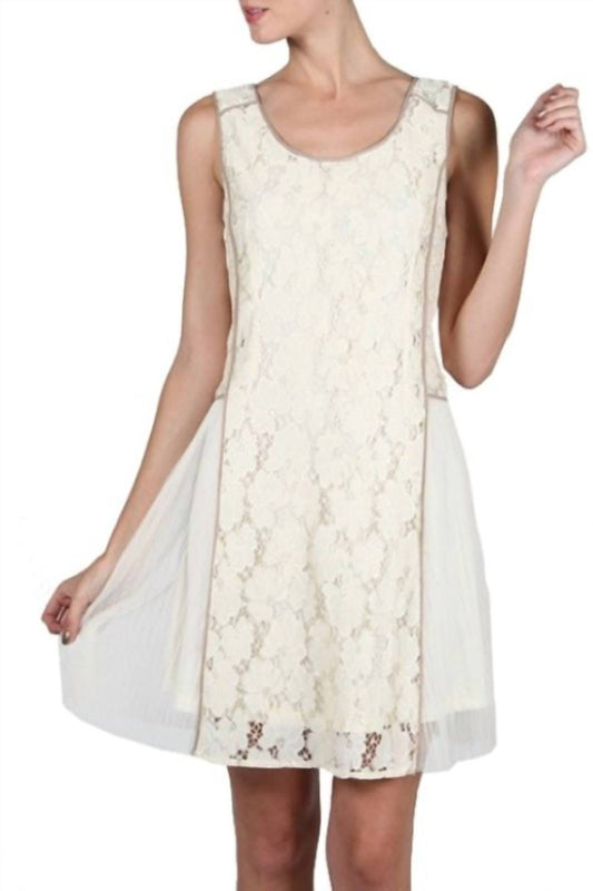 Romantic Lace Mesh Mini Dress