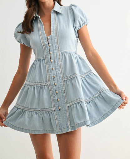 Taylor Denim Mini Dress