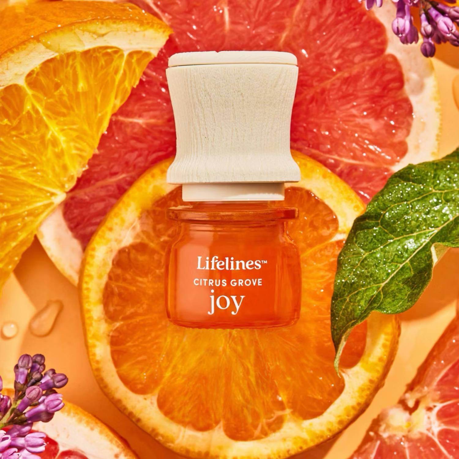 Lifelines - Sensory Immersion Gift Set - Rack Hunt -