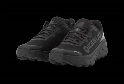 Women's Arcus 2 Bugrip Gtx Shoes
