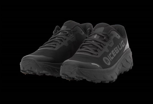 Women's Arcus 2 Bugrip Gtx Shoes