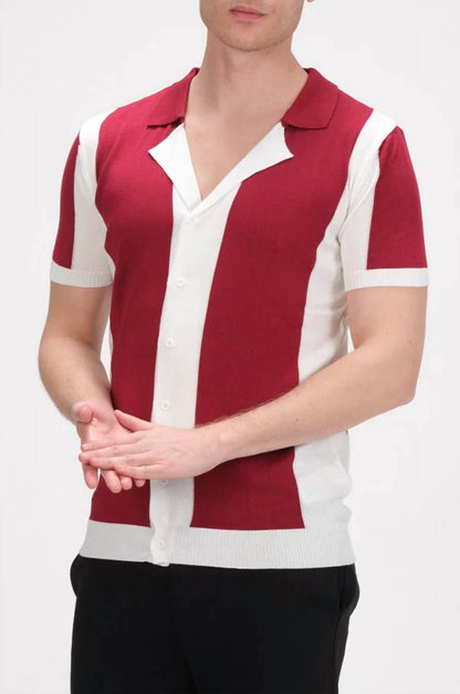 Striped Knit Polo Shirt