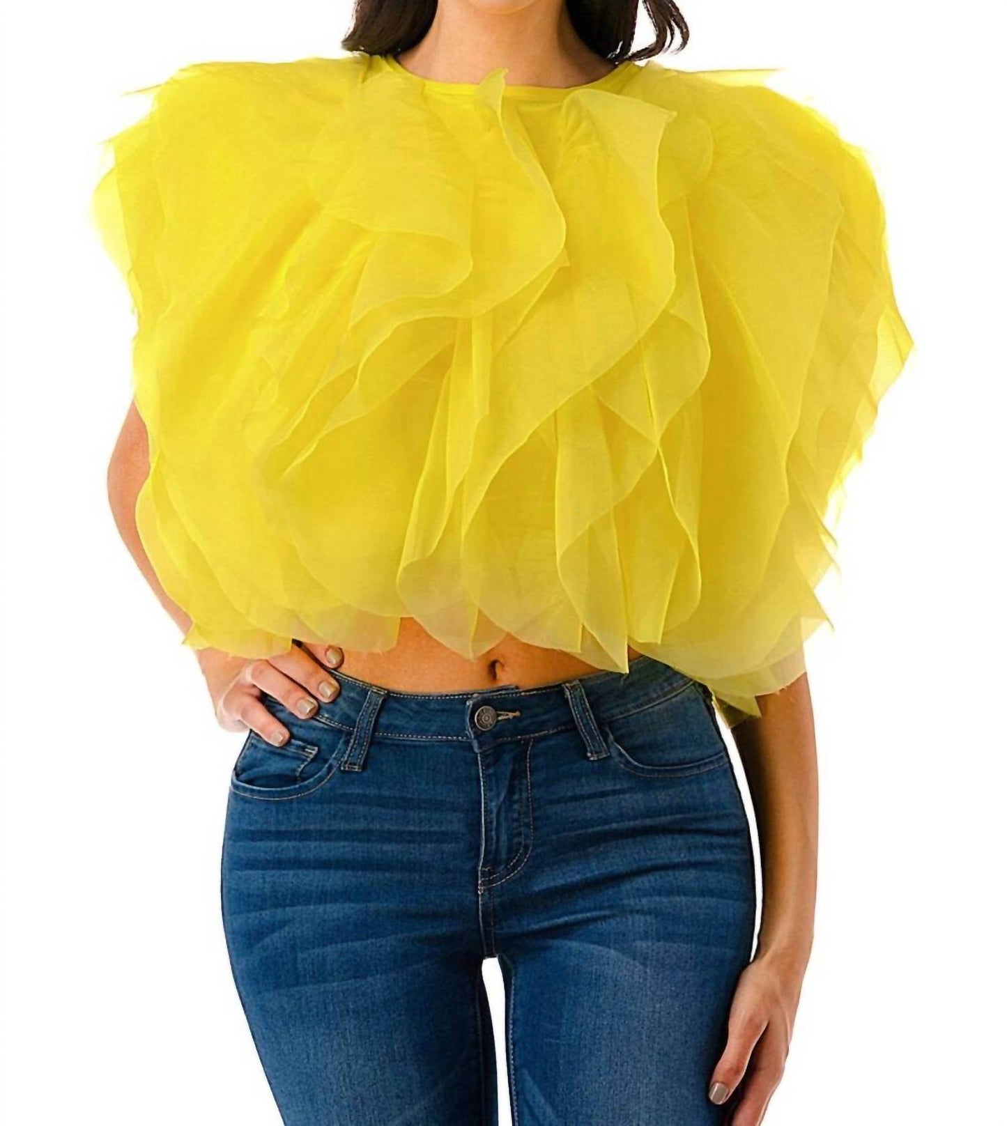 Love Highlight - Sleeveless Ruffle Tulle Crop Top - Rack Hunt -