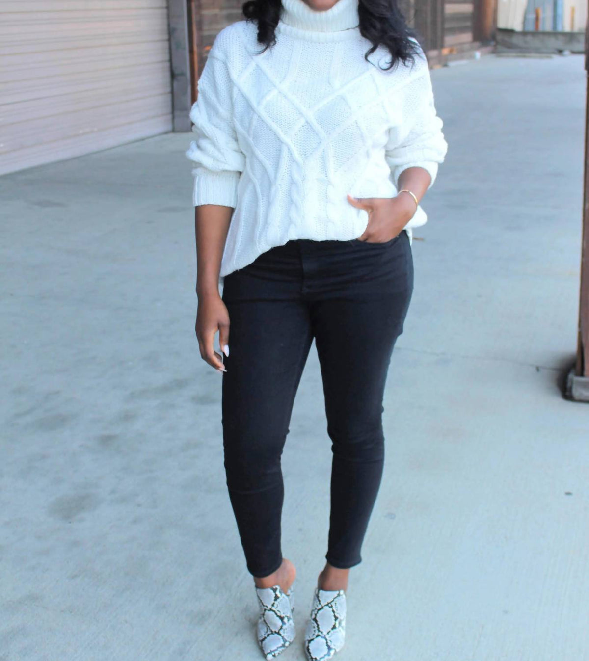 Bianca Chunky Knit Turtleneck Sweater