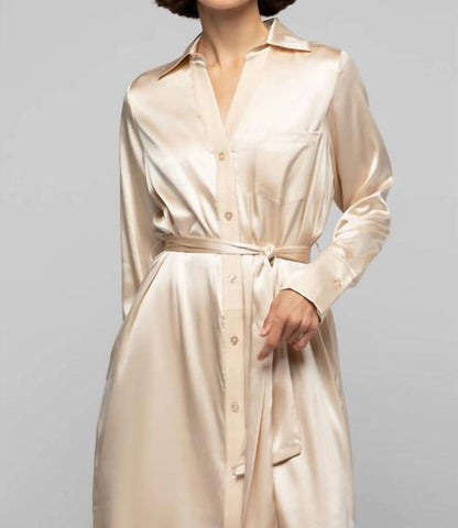 Raesa Silk Mini Shirt Dress With Leather Detail