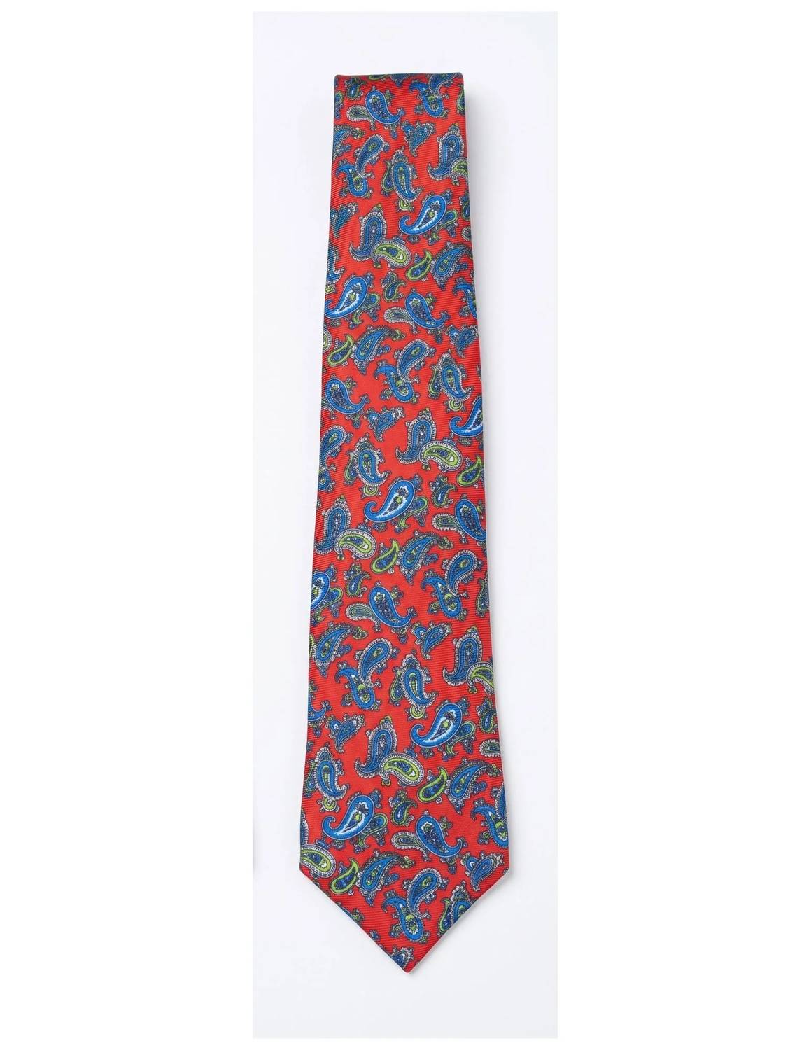 Men's Paisley Print Silk Tie
