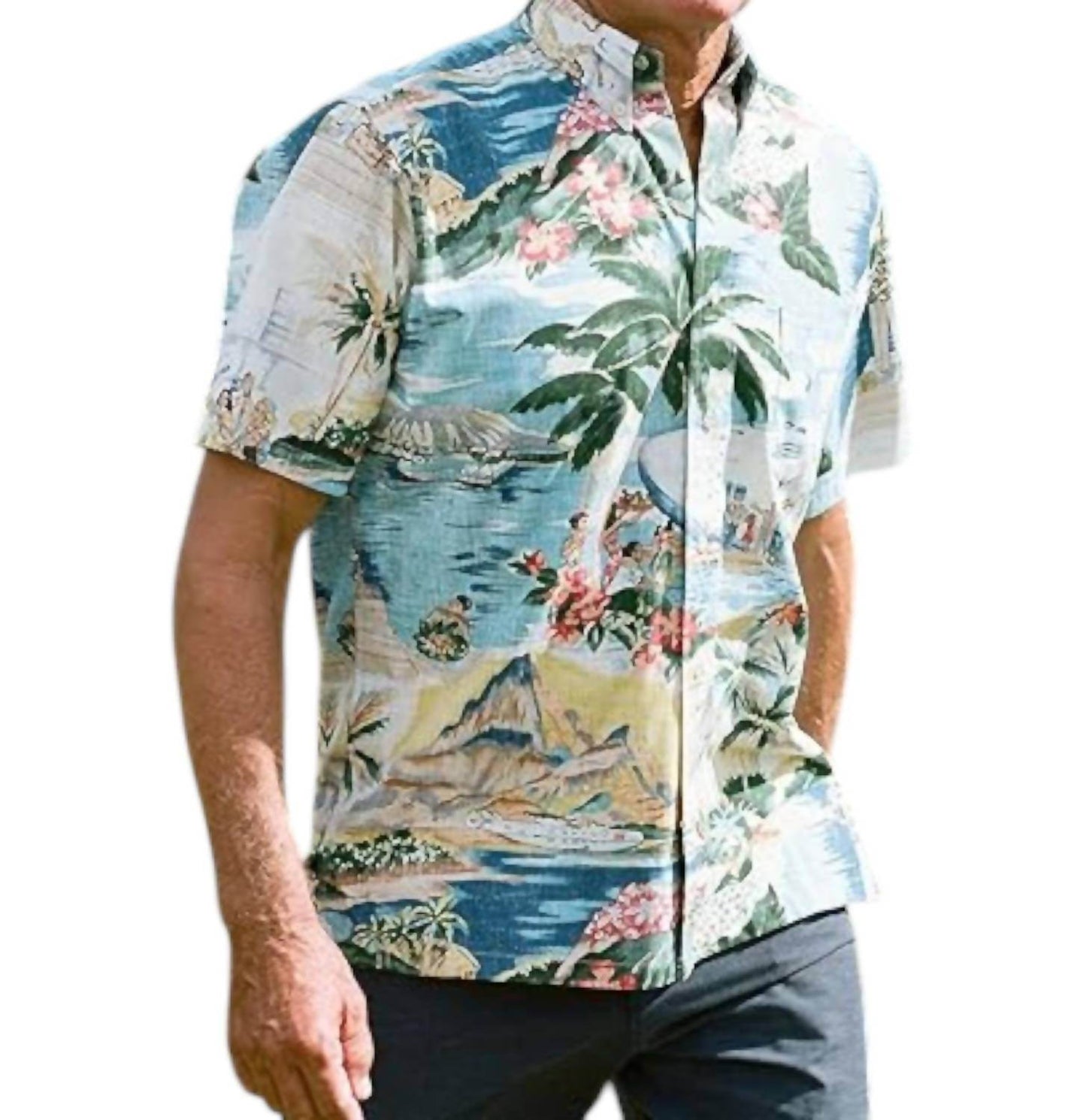 Reyn Spooner - Transpacific 40's Scenic Hawaiian Aloha Shirt - Rack Hunt