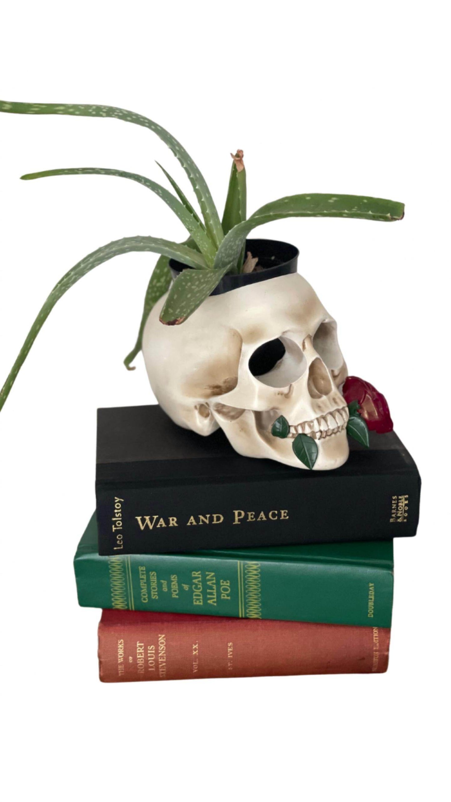 Tennessee & Co. - Resin Skull with Rose Organizer/Planter - Rack Hunt -