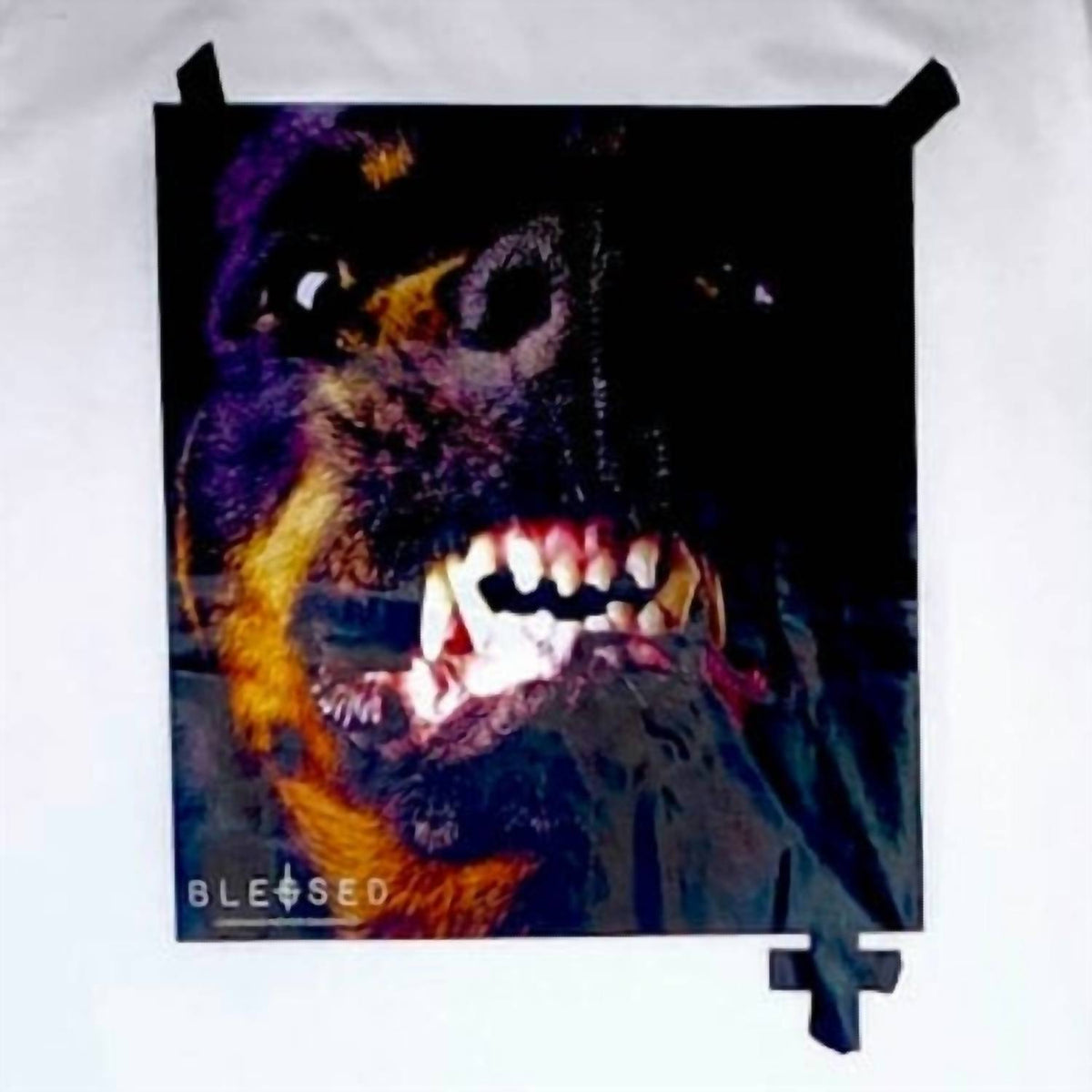 MEN'S BITE T-SHIRT