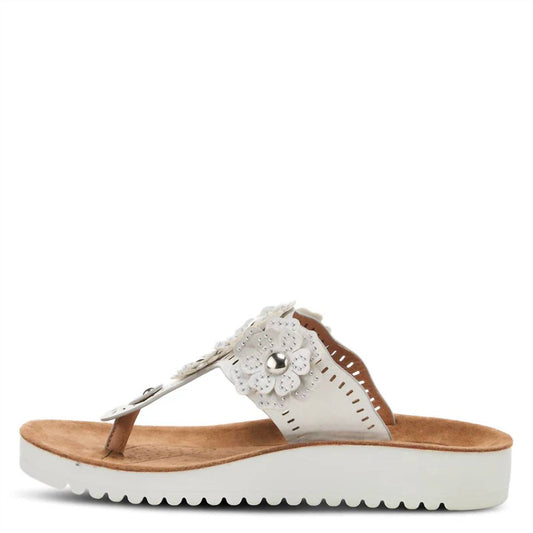 Women's Bayview Thong Sandals