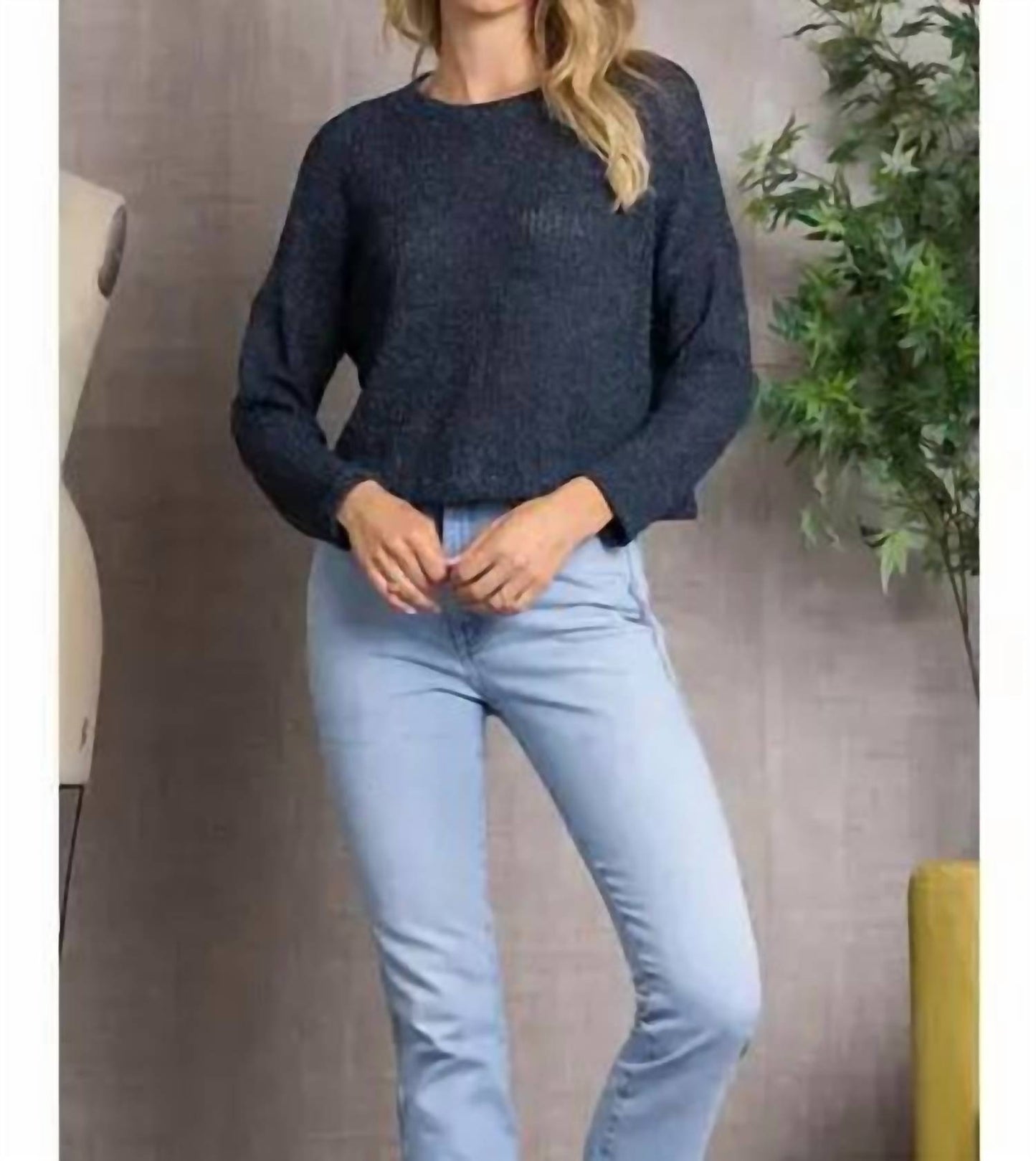 Crew Neck Cable Knit Long Sleeves Top