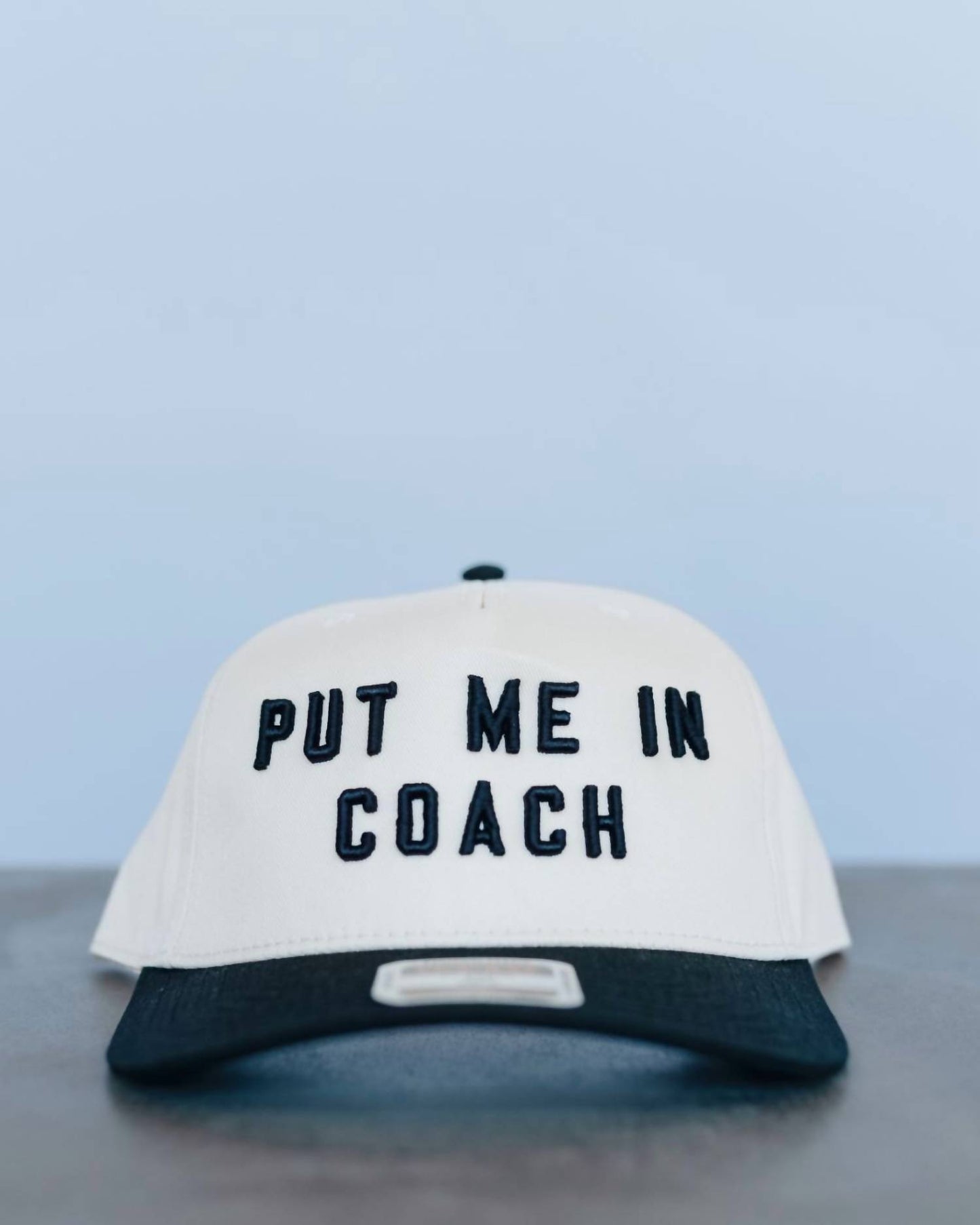Unisex Put Me In Coach Hat