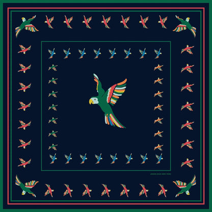 Women's Sky Parade Double Sided Silk Scarf