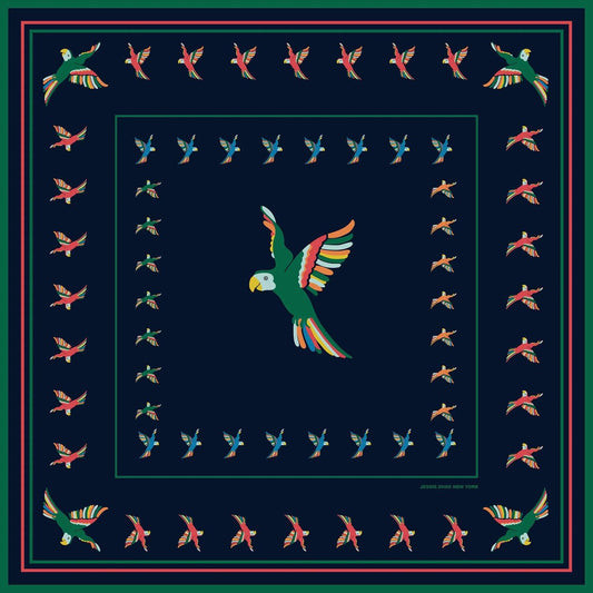 Women's Sky Parade Double Sided Silk Scarf
