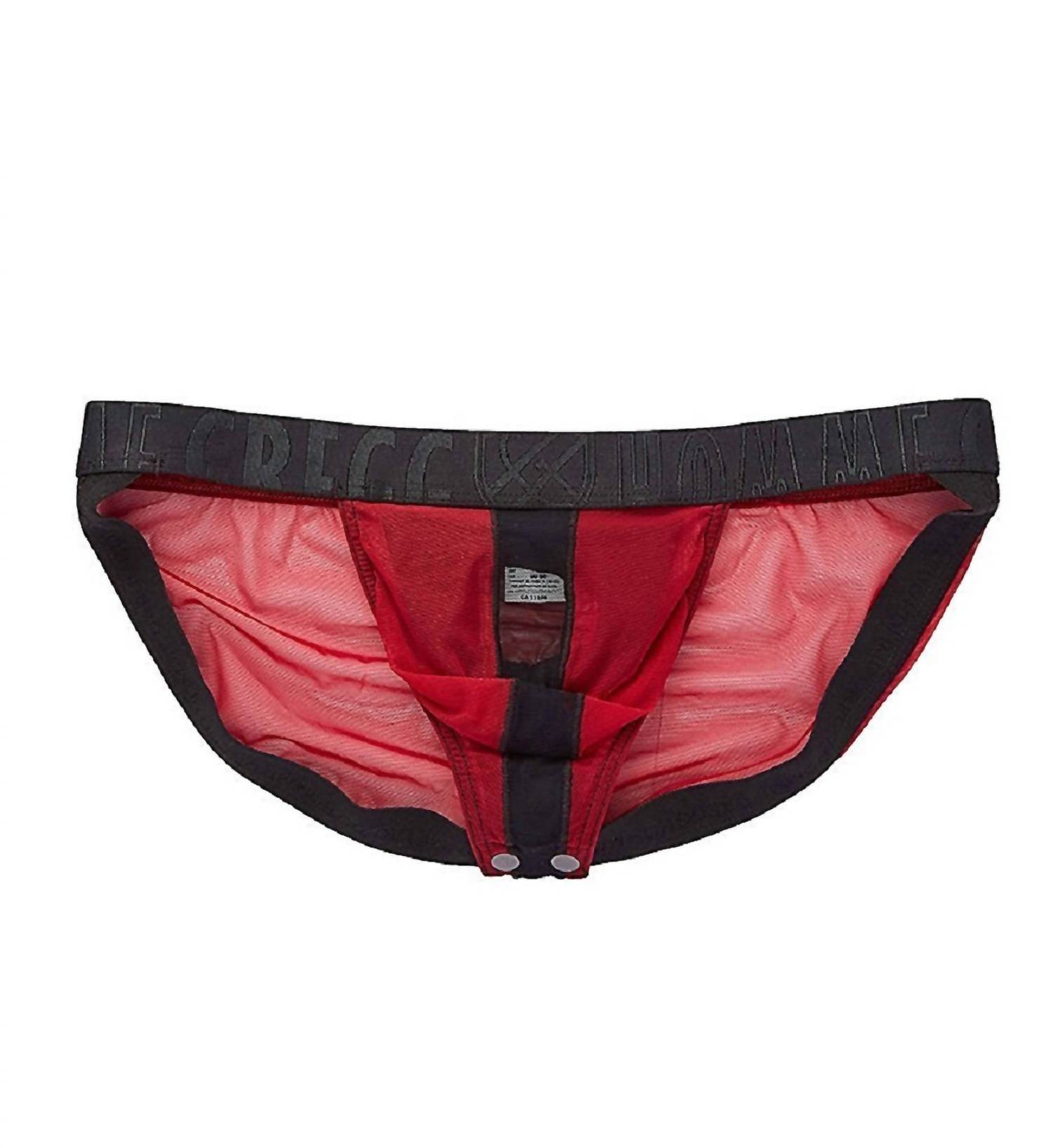 Gregg Homme - Men's Temptation See Through Italian Mesh Brief - Rack Hunt