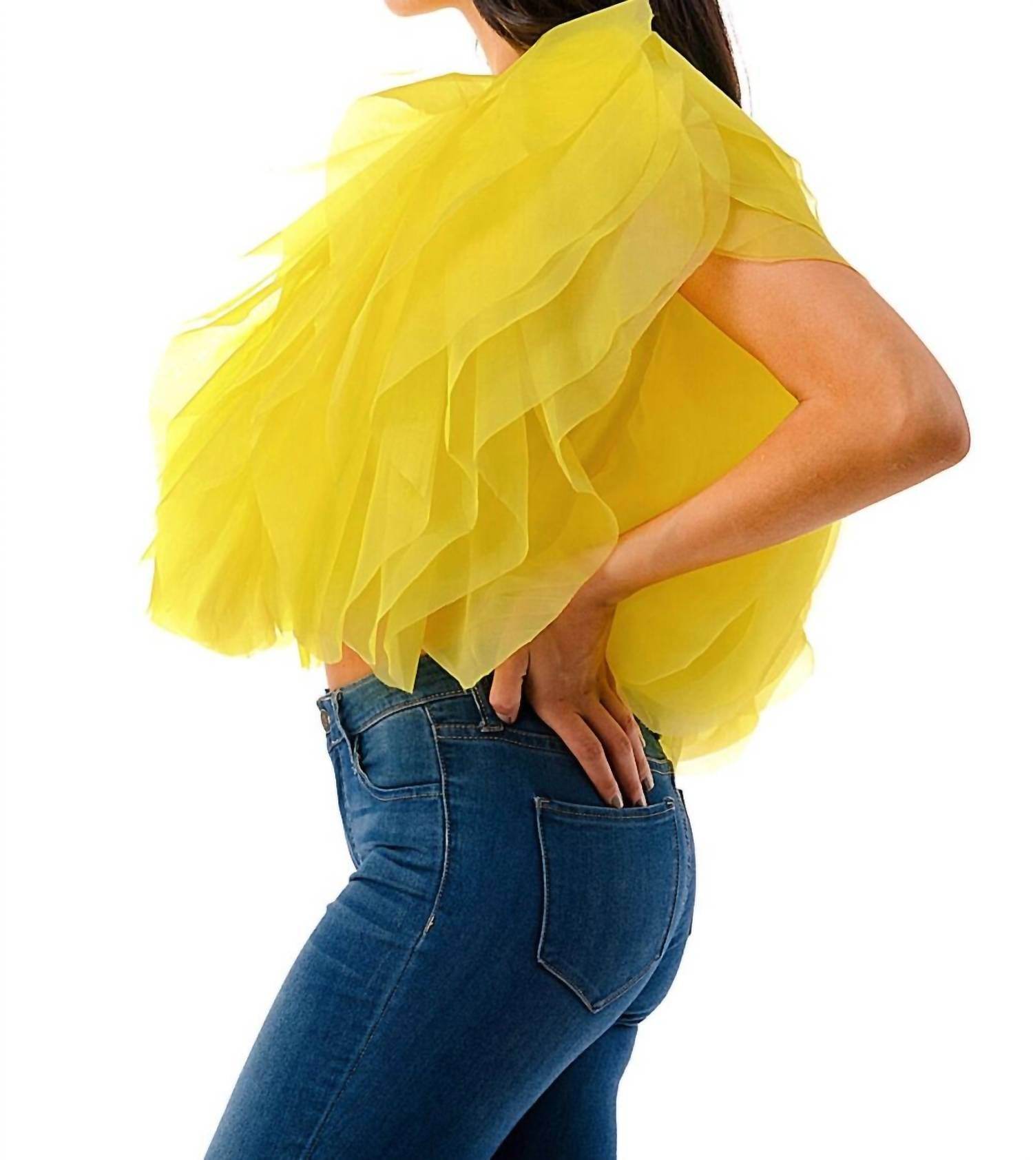 Love Highlight - Sleeveless Ruffle Tulle Crop Top - Rack Hunt -