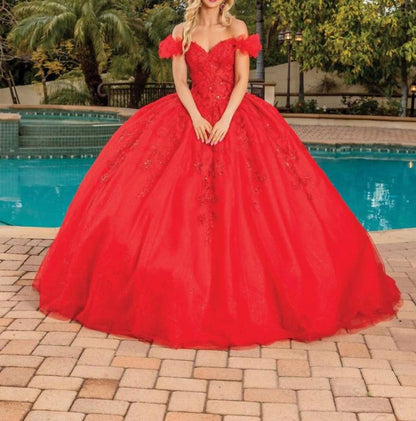 Quinceanera Ball Gown - Plus