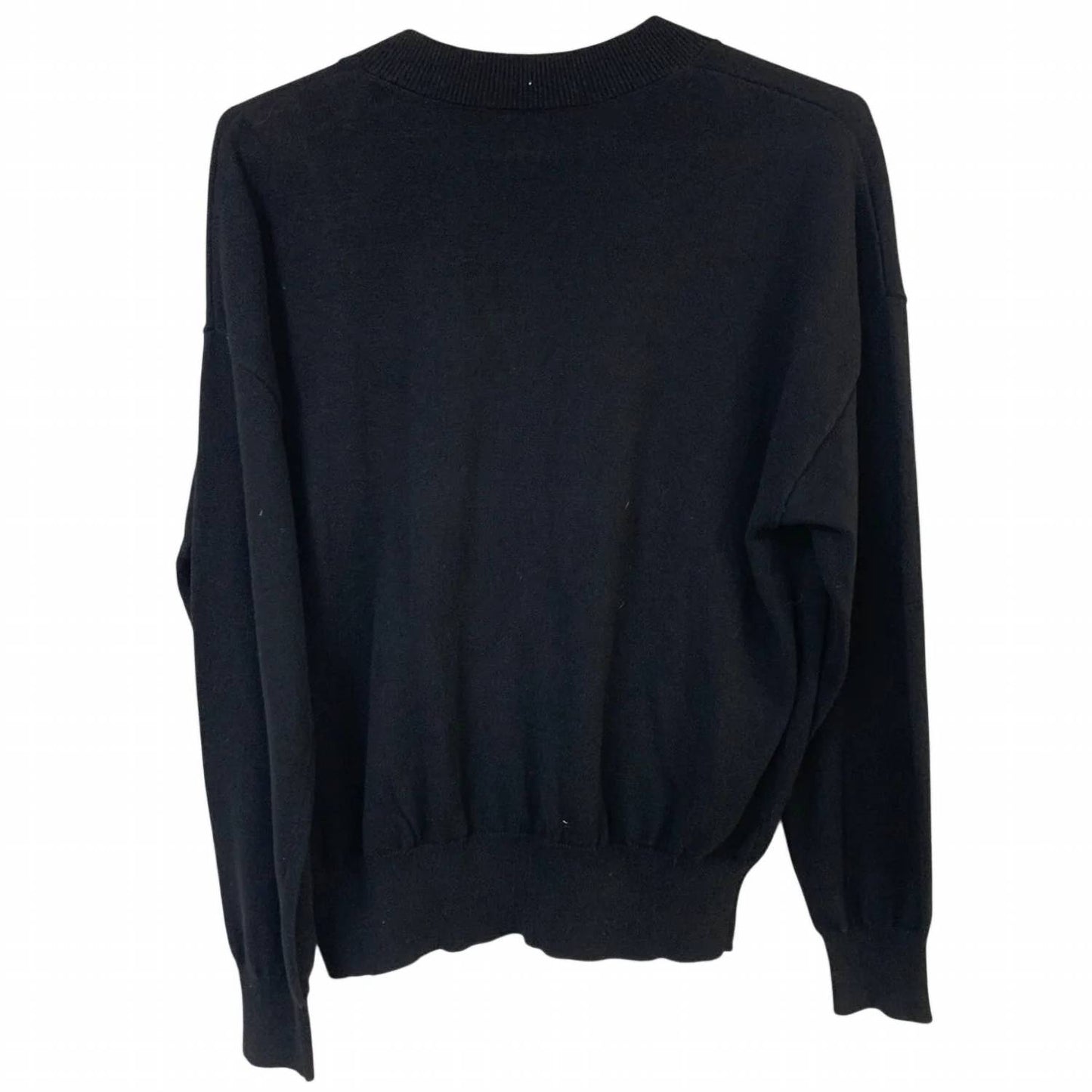 Women's Everyday Long Sleeve V-neck Sweater