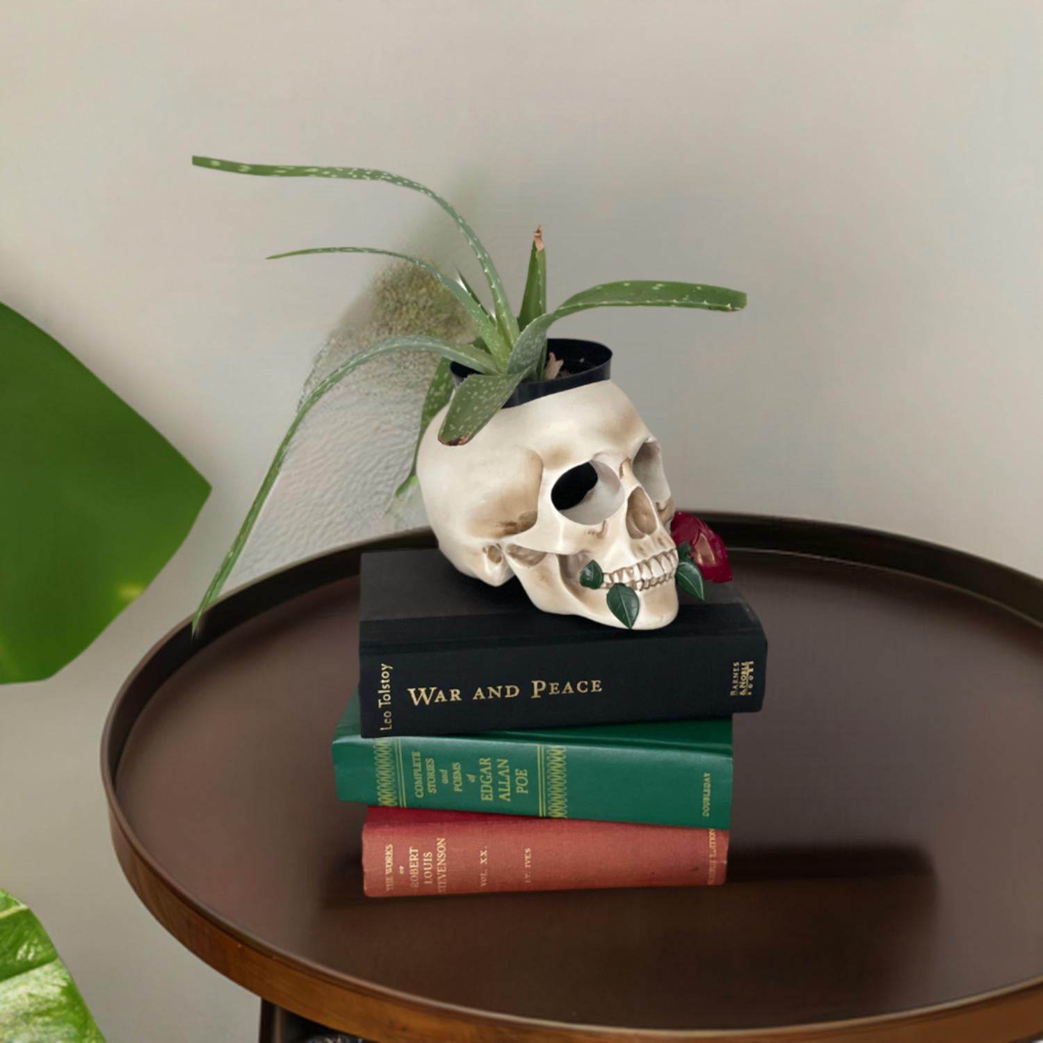 Tennessee & Co. - Resin Skull with Rose Organizer/Planter - Rack Hunt -