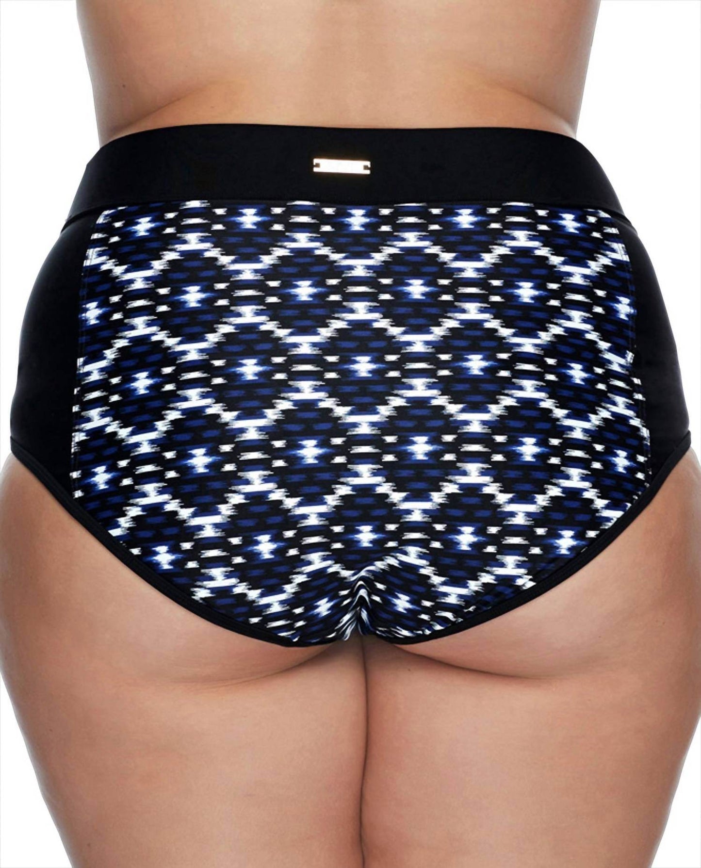 SKYE - High Waist Bikini Bottom - PLUS - Rack Hunt -