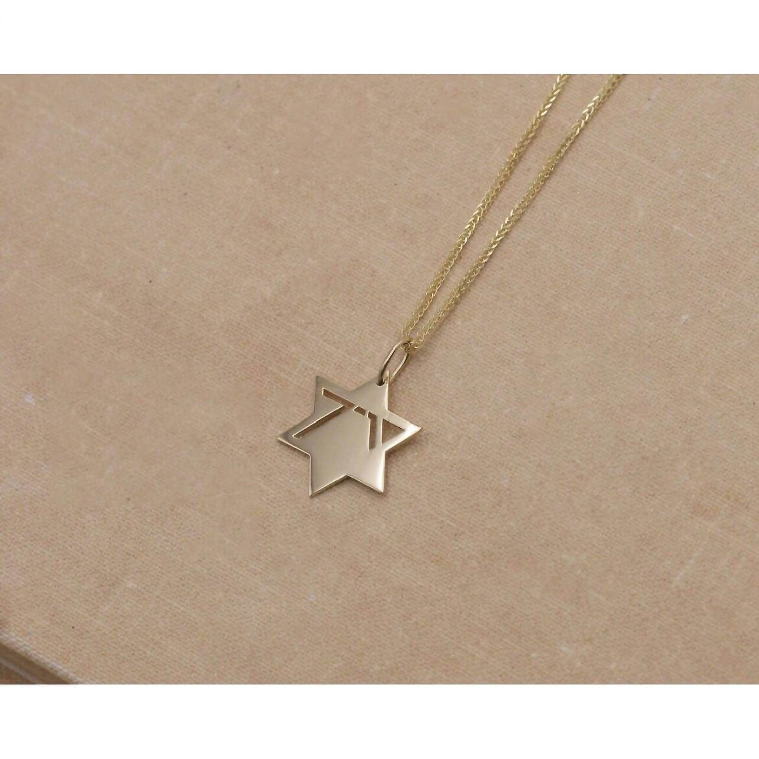 Rooted Gem Collective - Stand for Israel Magen David Memorial Pendant - Rack Hunt -