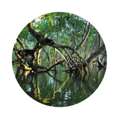 Unisex Bon Bois De Mangroveeau De Parfum - 30ml