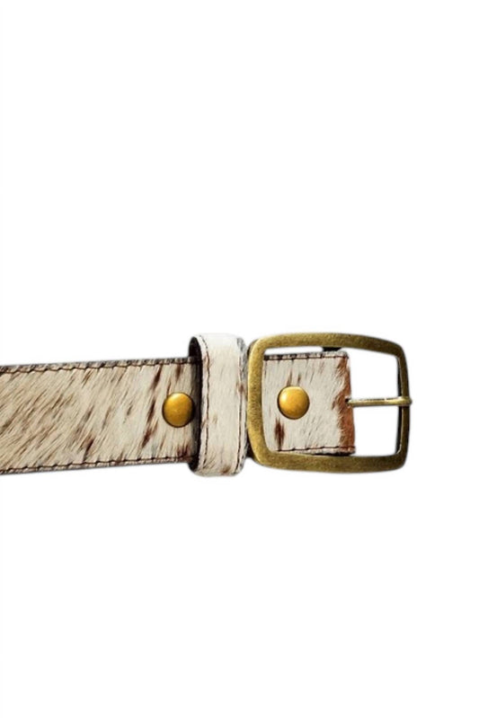 Women's Kallyn Wide Exotic Belt