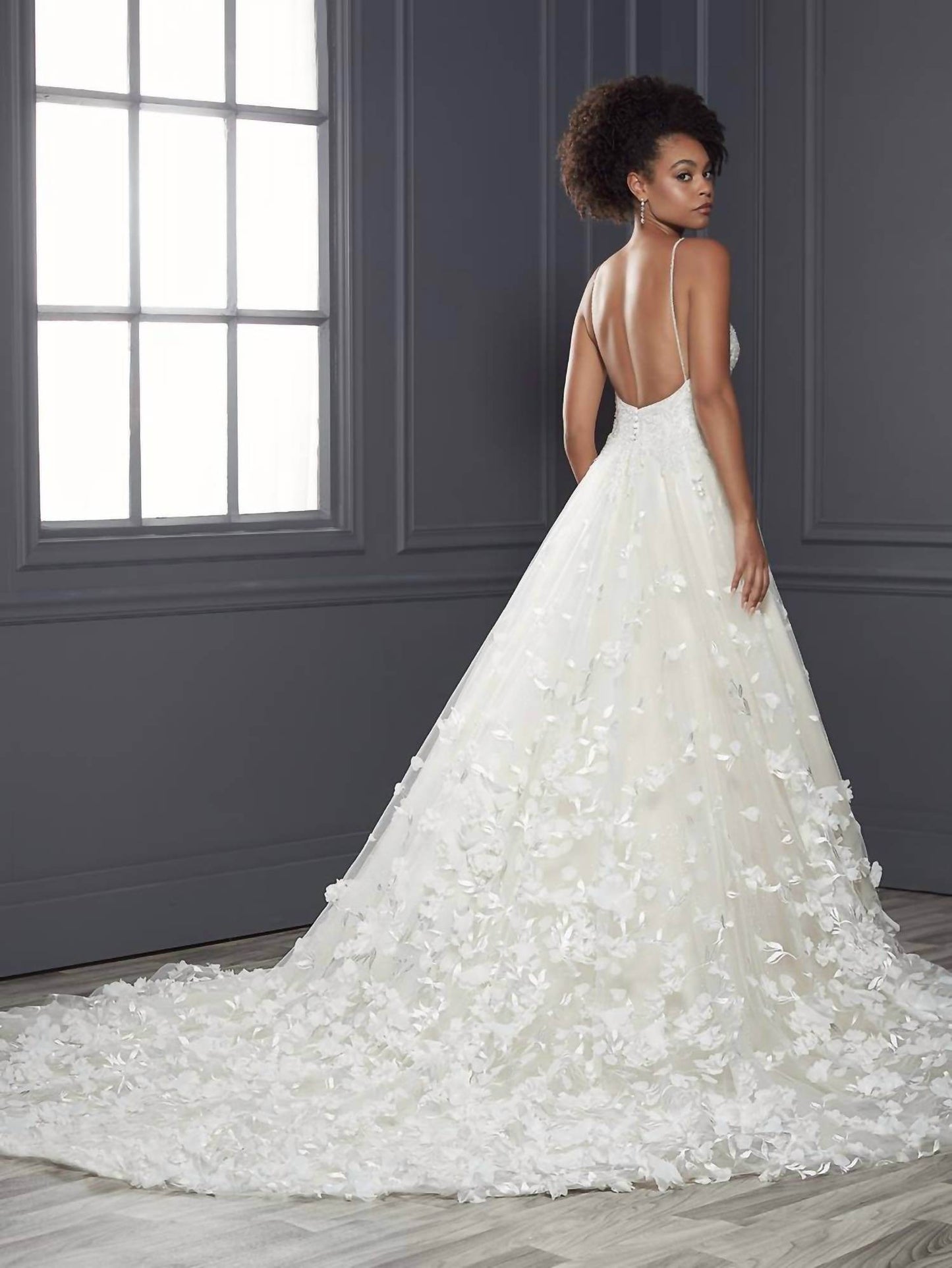 House of Wu - A-line Ballgown - Rack Hunt -