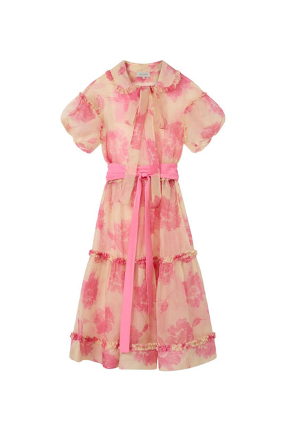 Clementine Silk Organza Maxi Dress