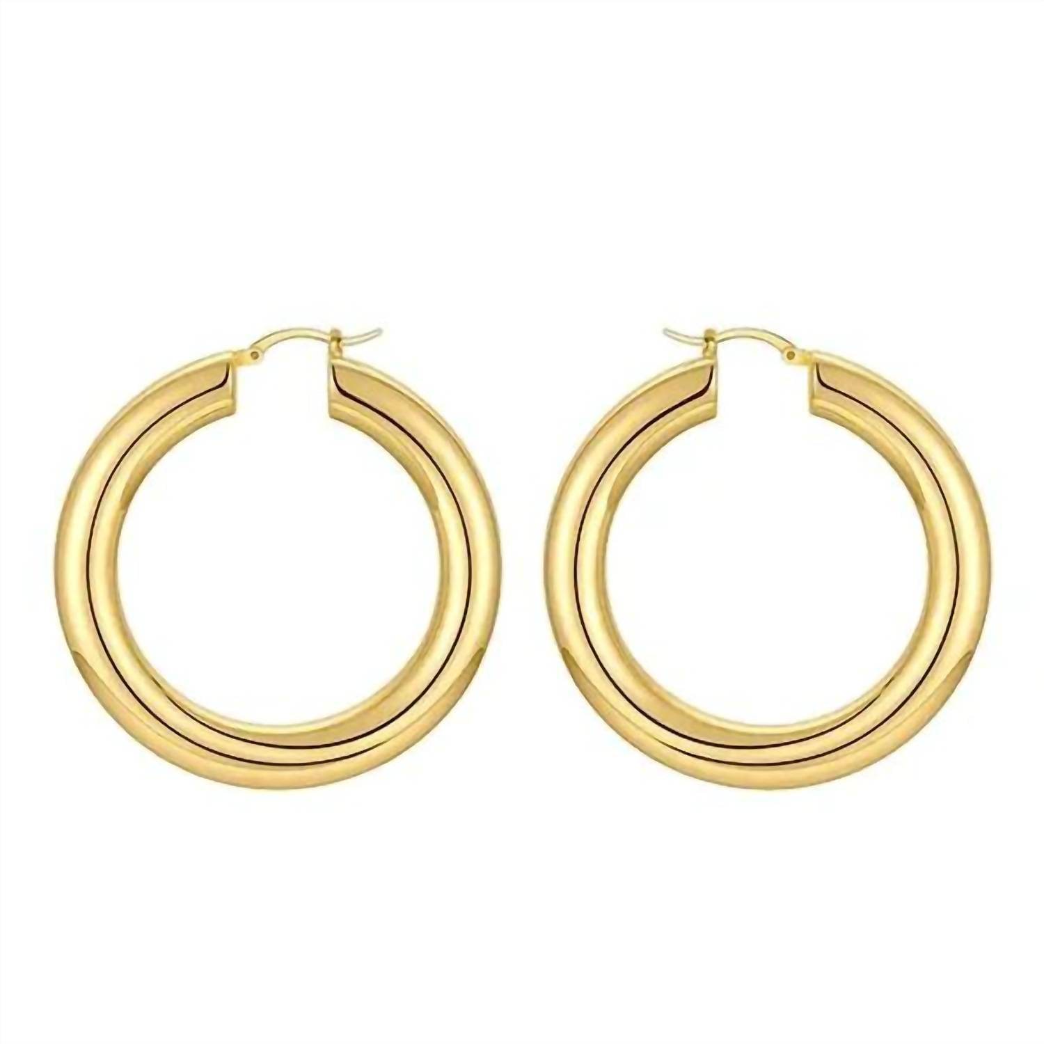 Lillian - Basic Everyday Hoop Earrings - Rack Hunt -