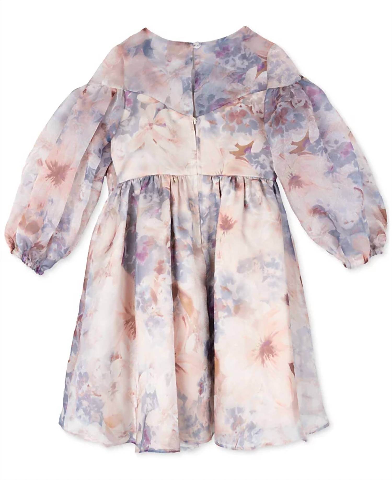 Rare Editions - Toddler & Little Girls Balloon Sleeve Floral Organza Dress - Rack Hunt -