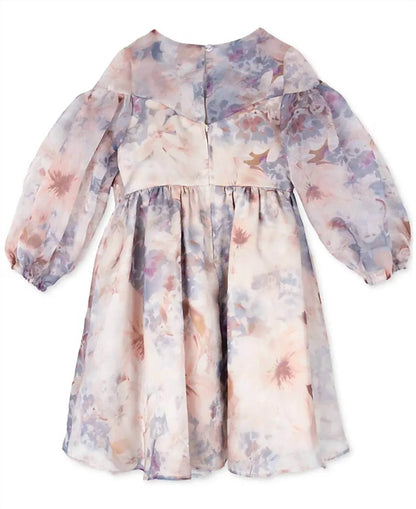 Rare Editions - Toddler & Little Girls Balloon Sleeve Floral Organza Dress - Rack Hunt